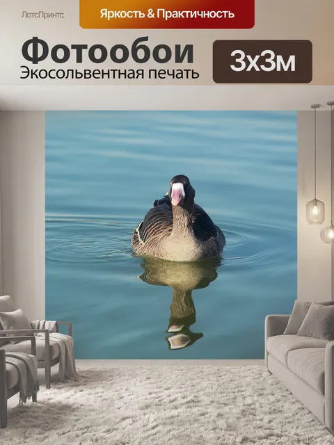 Фотообои Вода