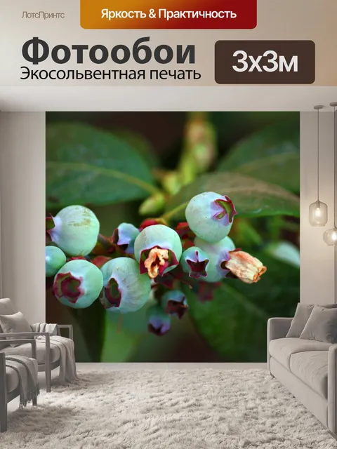 Фотообои Созревающая черника на кусте