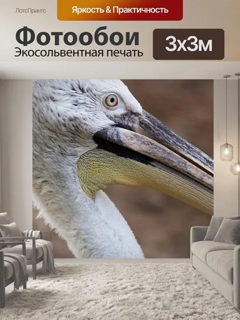 Фотообои Белый пеликан подробно