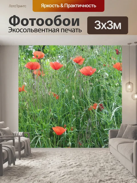 Фотообои Маки
