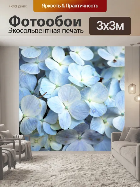 Фотообои Белые лепестки Фон