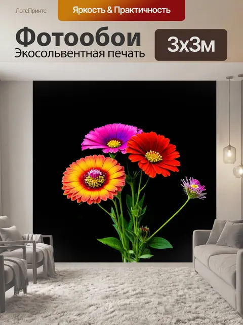 Фотообои черный с дивными цветами, где яркие цветы противостоят черному фону, создавая насыщенный контраст