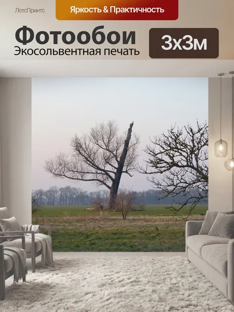 Фотообои Дерево