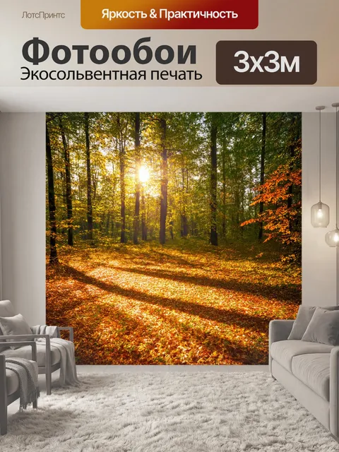 Фотообои россия леса, веснушки солнечных лучей на земле, танцующие листья
