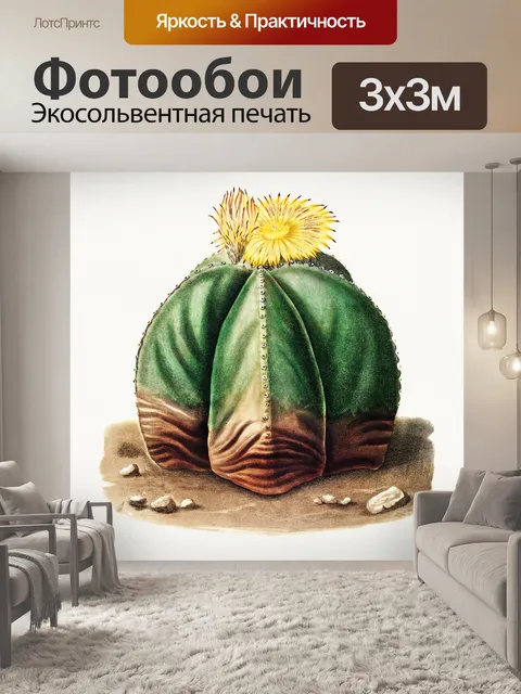 Фотообои Кактус cacti art vintage