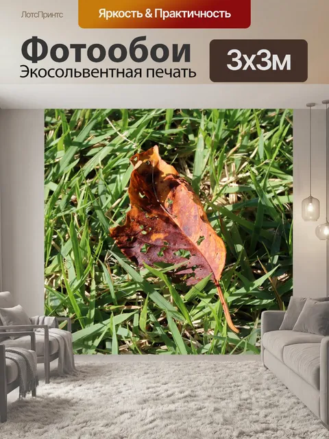 Фотообои Листья