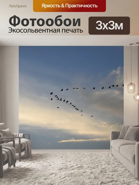Фотообои Great White Цапли Летучий