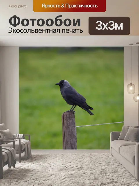Фотообои Blackbird 1