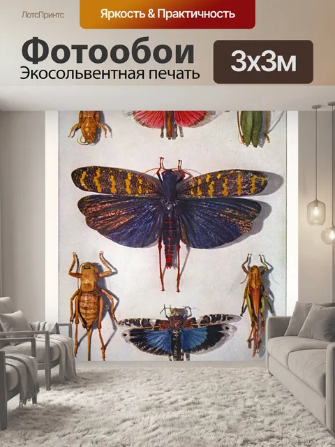 Фотообои насекомые жуки бабочки искусство