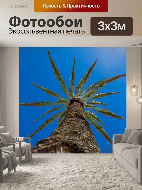 Фотообои Пальма и голубое небо