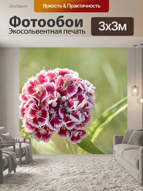 Фотообои Гвоздика
