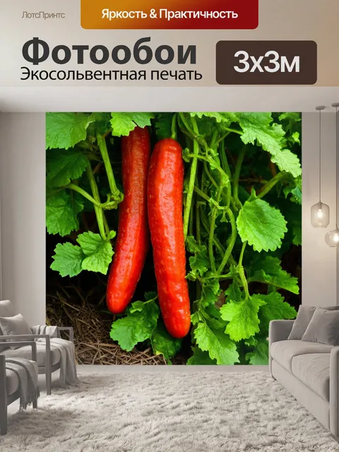 Фотообои красные огурцы в саду с зелеными листиками, создающими натюрморт
