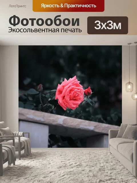 Фотообои За пределами