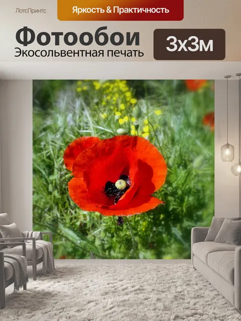 Фотообои Маки