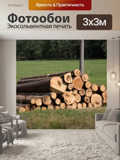 Фотообои Букет из поваленных деревьев