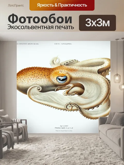 Фотообои Кальмар осьминог винтажное искусство