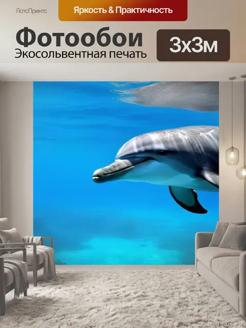 Фотообои счастливые дельфины в кристально чистых водах тропического океана