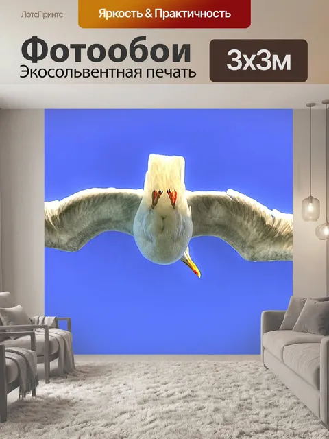 Фотообои Полет