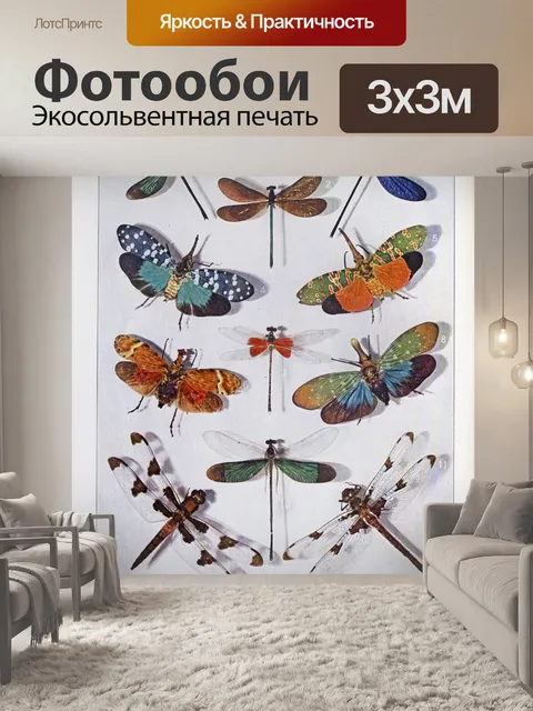 Фотообои насекомые жуки бабочки искусство