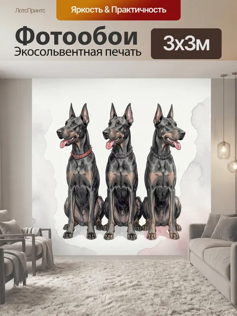 Фотообои Три черных высоких добермана с купированными ушами и шипованными ошейниками