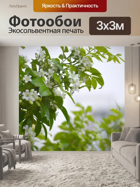 Фотообои Белые ароматные цветы 2