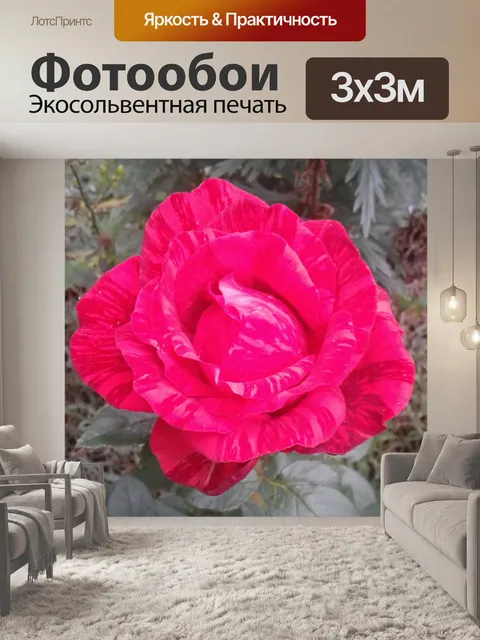 Фотообои Розы, природа