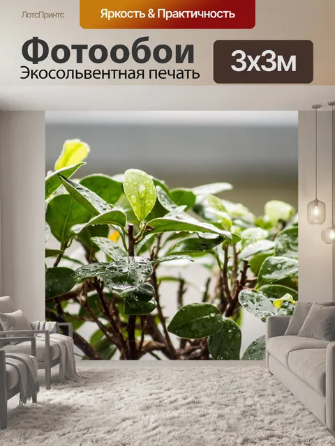 Фотообои Листья