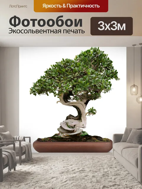 Фотообои Карликовое дерево