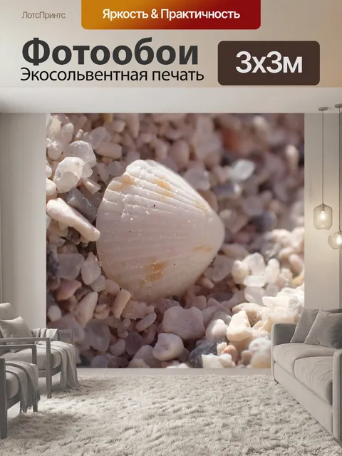 Фотообои Морская ракушка