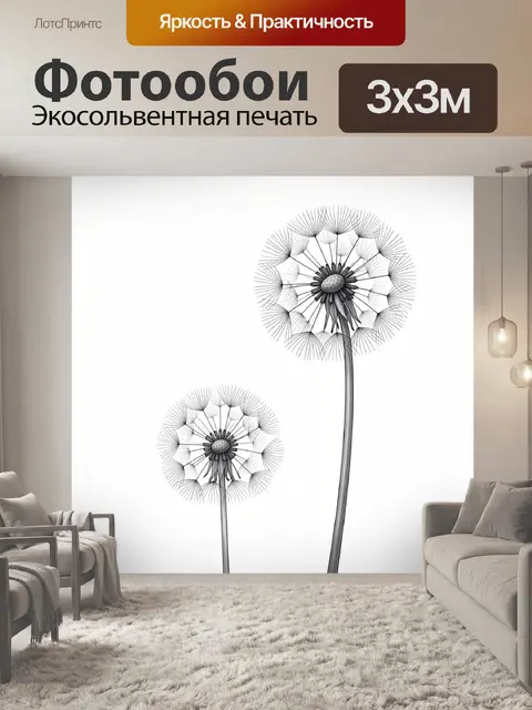 Фотообои Два одуванчика на белом фоне