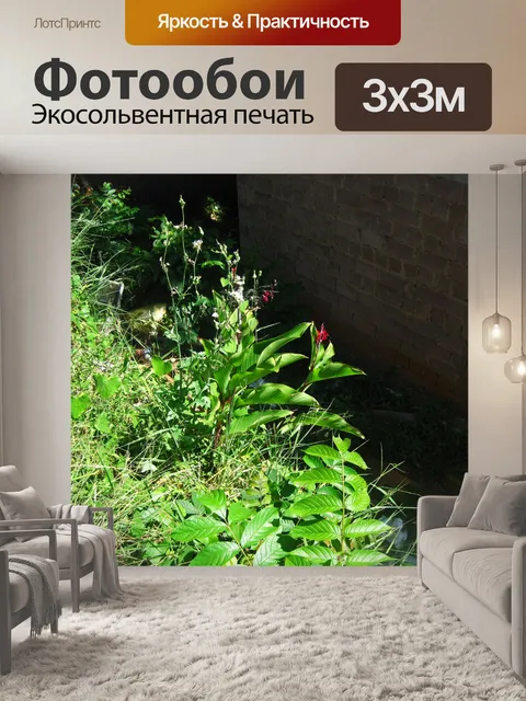 Фотообои зеленая растительность на набережной