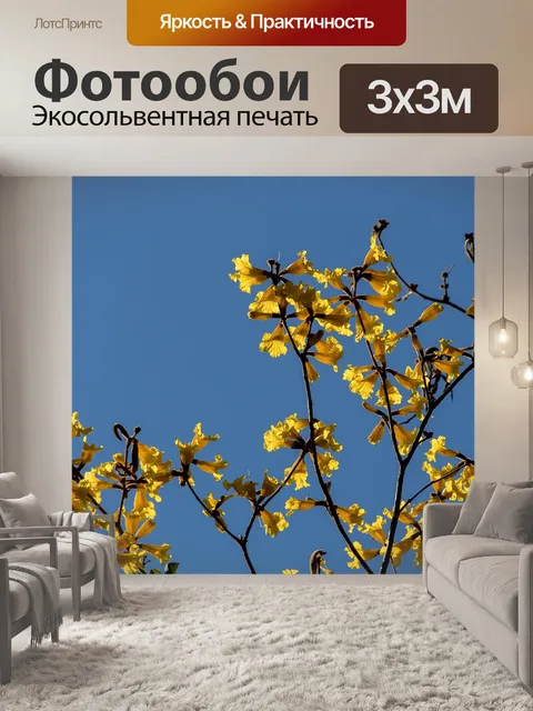 Фотообои Цвести
