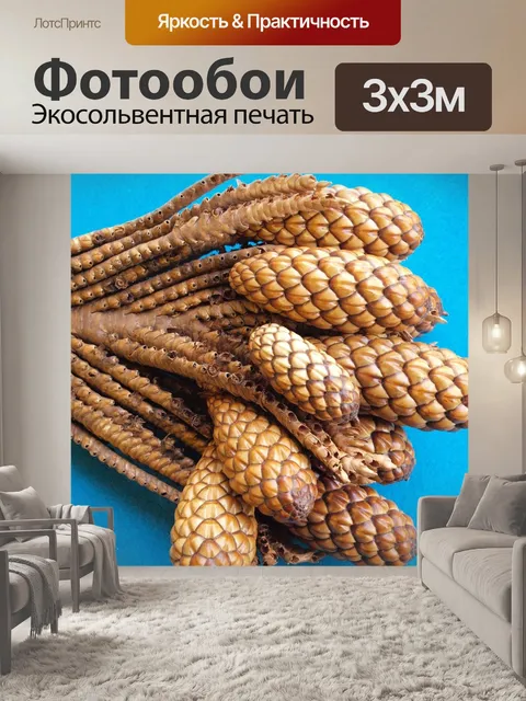 Фотообои Ветка ореха тика