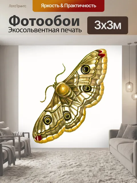 Фотообои Мотылек бабочка винтажное искусство