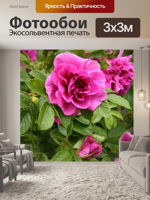 Фотообои Роза