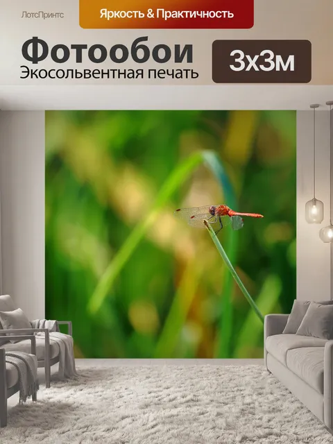 Фотообои Красная стрекоза