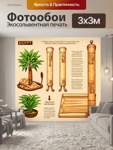 Фотообои египет в стиле инфографический рисунок, которые иллюстрируют процесс создания папируса от растения до свитка