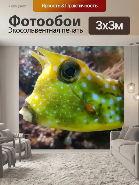 Фотообои Рыбы