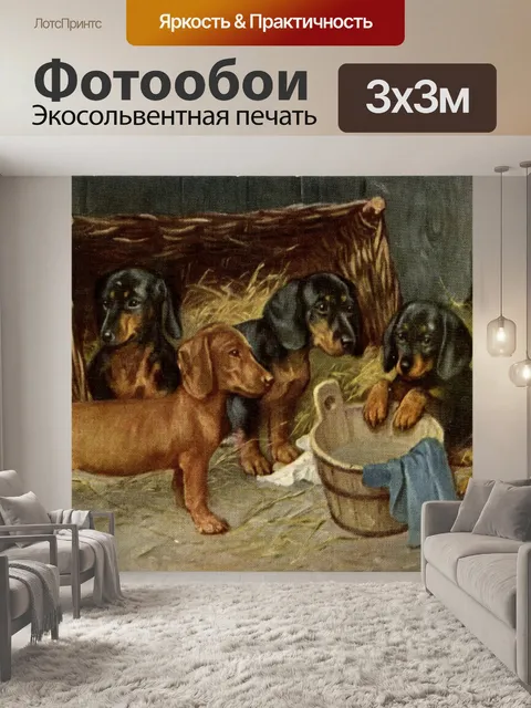 Фотообои Щенки таксы принимают ванну