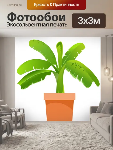 Фотообои Банановое дерево иллюстрации клипарт