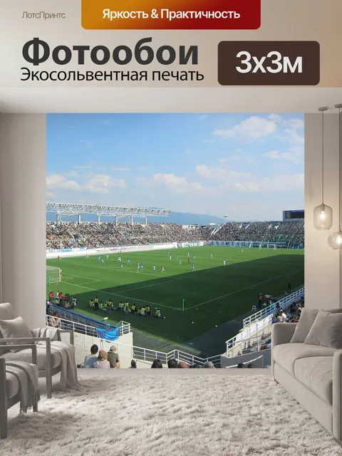 Фотообои Футбольный