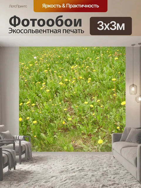 Фотообои Трава с одуванчиками