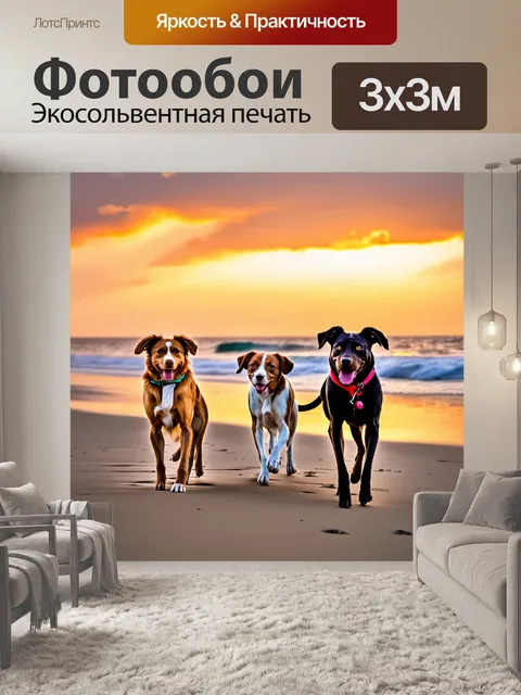 Фотообои собаки, гуляющие по пляжу на закате, с красивым небом