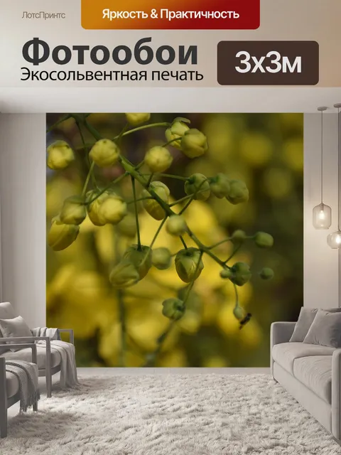 Фотообои Цветок