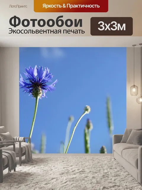 Фотообои Васильковый