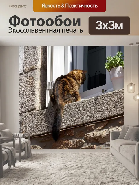 Фотообои Кот в окне
