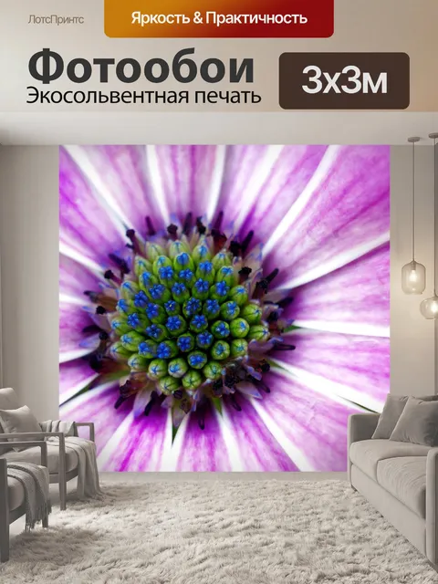 Фотообои Цветущая розовая макросъемка
