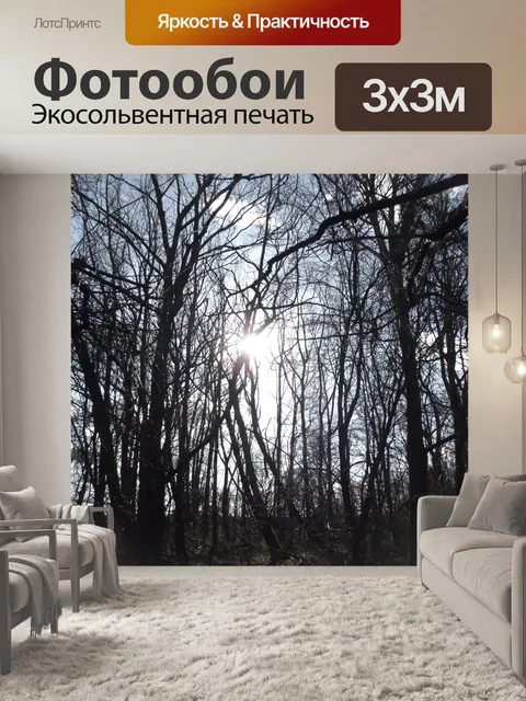 Фотообои Солнце сквозь деревья