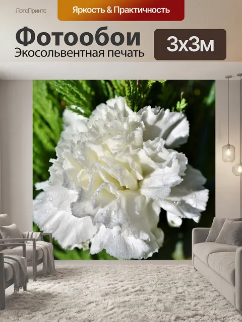 Фотообои Гвоздика