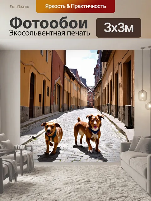 Фотообои собаки, гуляющие по живописным улочкам старого города